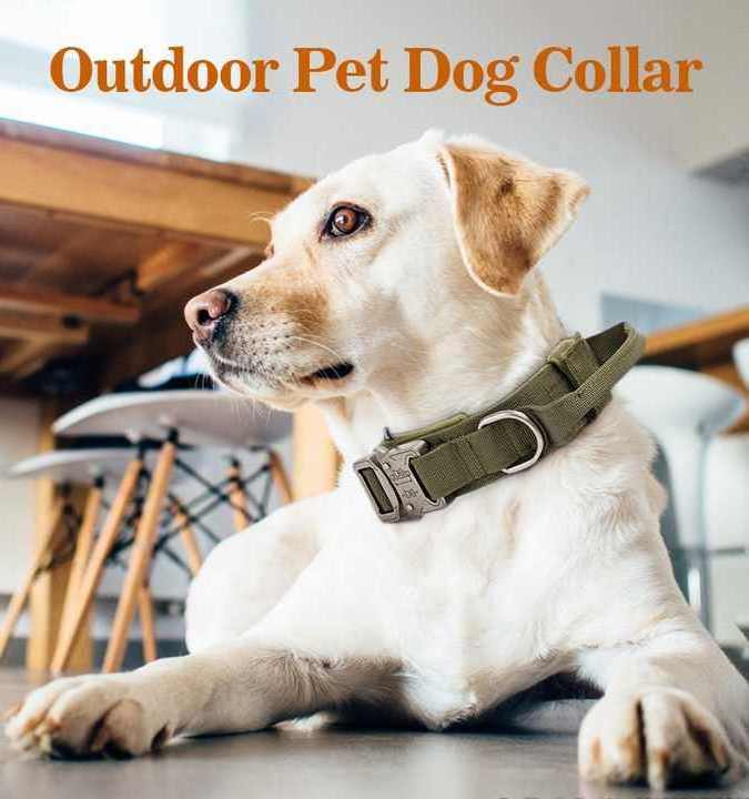 High Quality Two Handle Training Dog Leash For Medium And Large Dogs With Car Seat Buckle Tactical Dog Collar And Leash Set