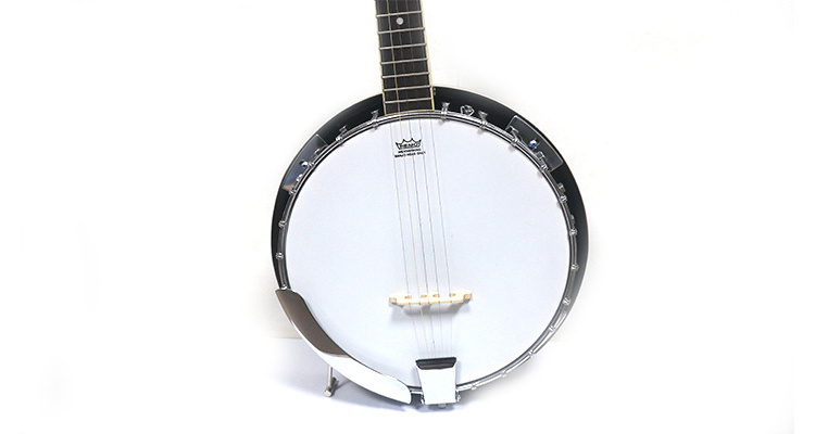 hot sale 5 strings musical instruments electric banjo