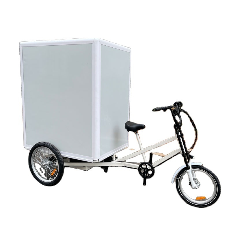 EZREAL Electric Tricycles Three Wheel Adult Fat Tire 48V 32Ah Cargo Electric Tricycle