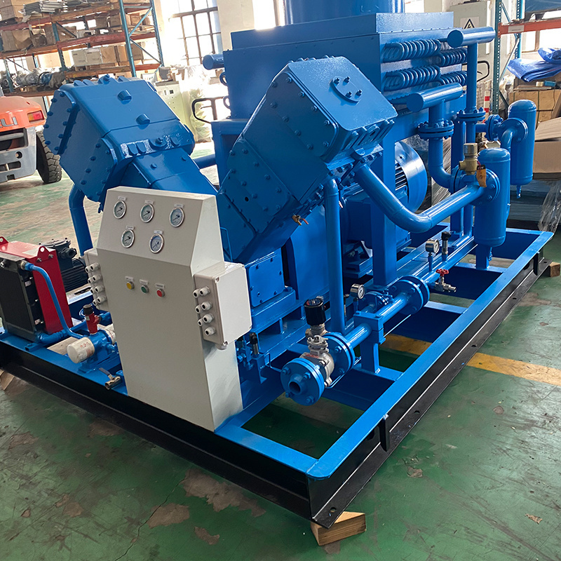 30MPa High Discharge Pressure Low Noise CNG Natural Gas Compressor for Sale