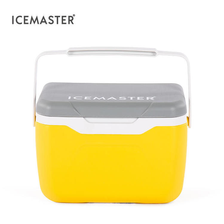 China Factory Plastic Mini 5.5L 10.5L 20L Transport Camping Fishing Beer Can Drinking Food Cooler Box