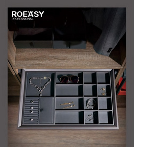 Roeasy  Direct Supplier Durable Modern Design Closet   Wardrobe Storage Drawer  R8001G Hylife Aluminium  Pull Out Jewelry Box