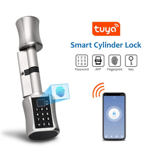 Tuya Smart Lock Electronic Cylinder Outdoor Waterproof Biometric Fingerprint Scanner Keyless Door Locks With tuya app