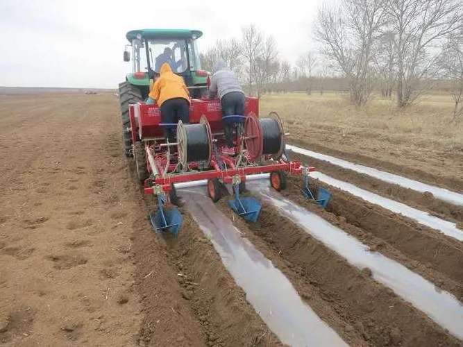 Hot Sales Used 2 Row Potato Planter For Sale