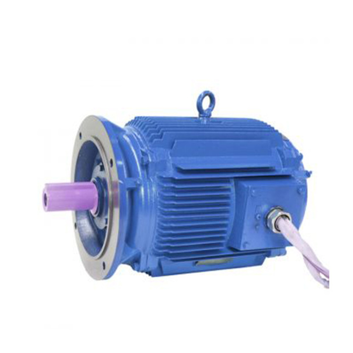 Professional Taizhouwenling 380v Electric Motor 50kw made in China