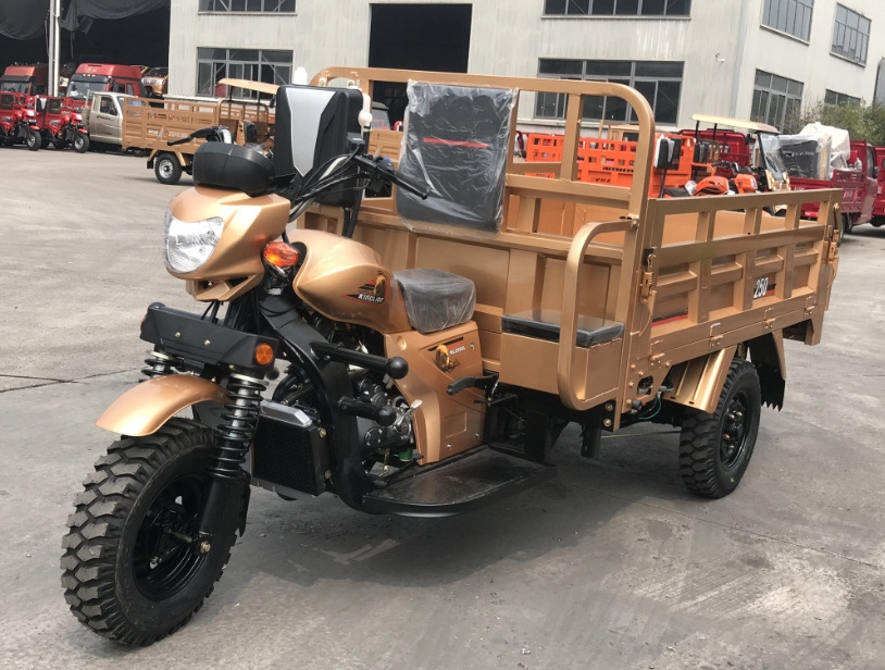 Factory Motorized Tricycles 200cc Cargo Motor Tricycle trike motorcycle Water Cooled three wheel motorcycle cargo bike