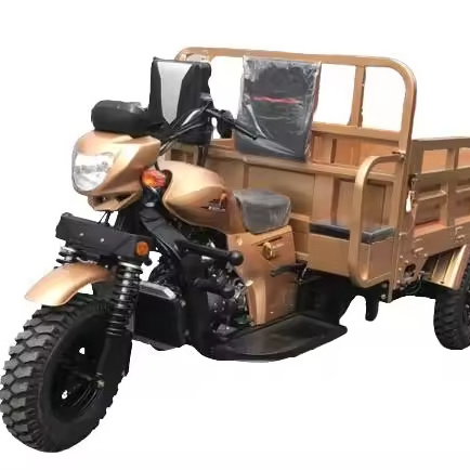 Factory Motorized Tricycles 200cc Cargo Motor Tricycle trike motorcycle Water Cooled three wheel motorcycle cargo bike