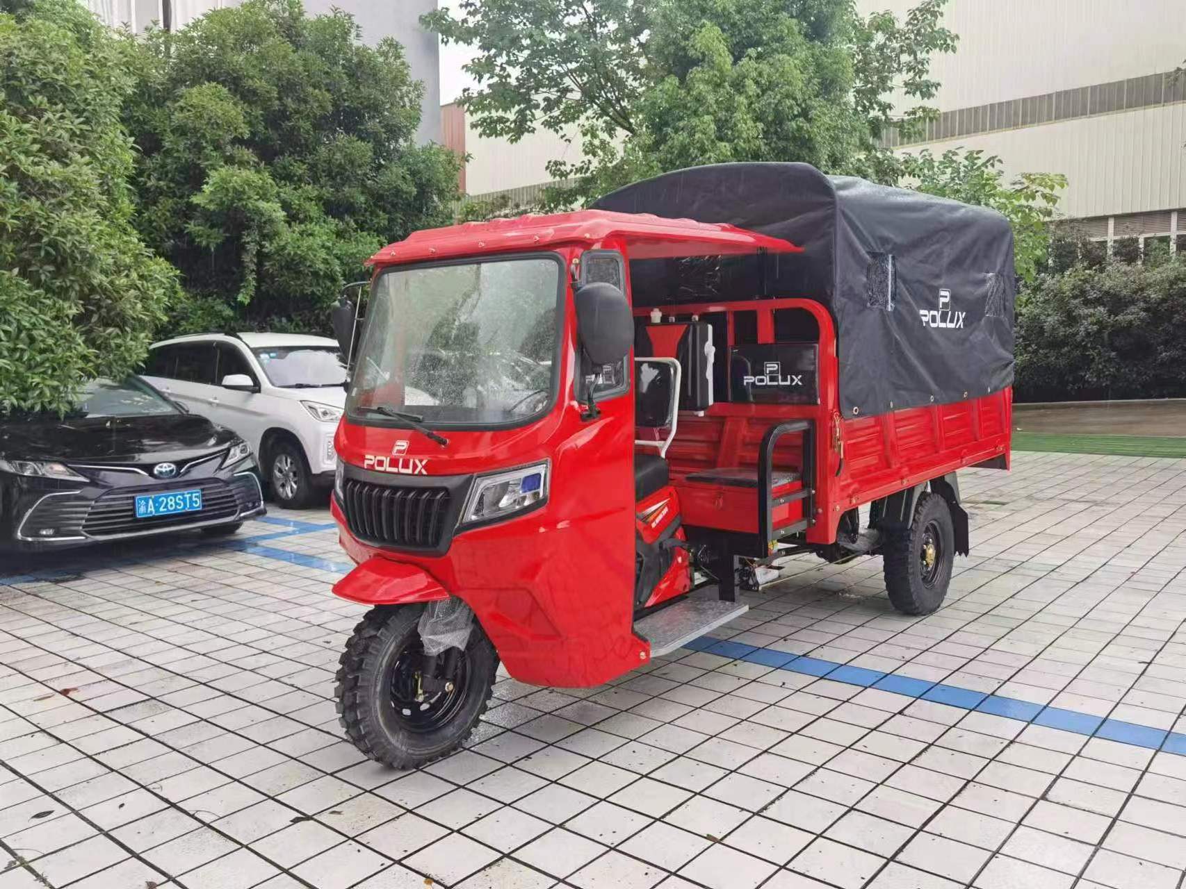 2024 electric trike 250cc Cargo Motor Tricycle Electric Trike moto tricycles Tyre Goods Shed other tricycles electric cargo bike