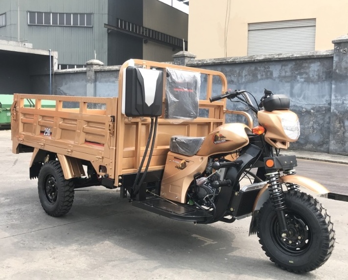 Factory Motorized Tricycles 200cc Cargo Motor Tricycle trike motorcycle Water Cooled three wheel motorcycle cargo bike