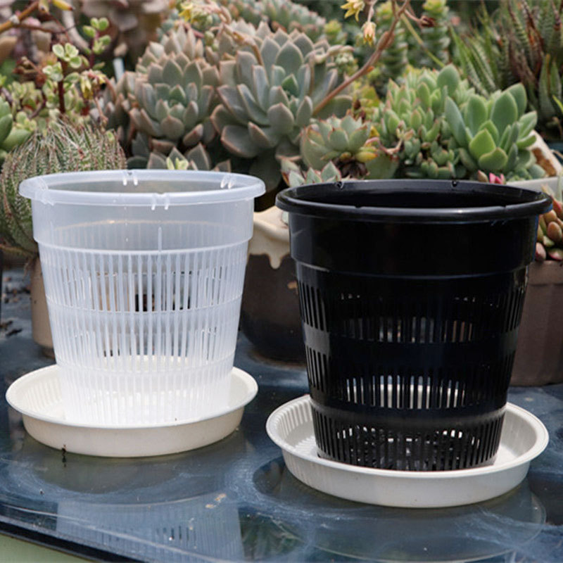 Clear Orchid Pot Set Breathable Slotted Plastic Plant Pot with Drainage Hole Air Planter