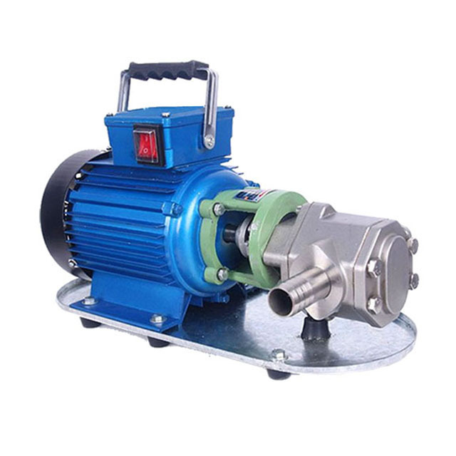 WCB small double gear pump portable oil pump electric diesel transfer pump