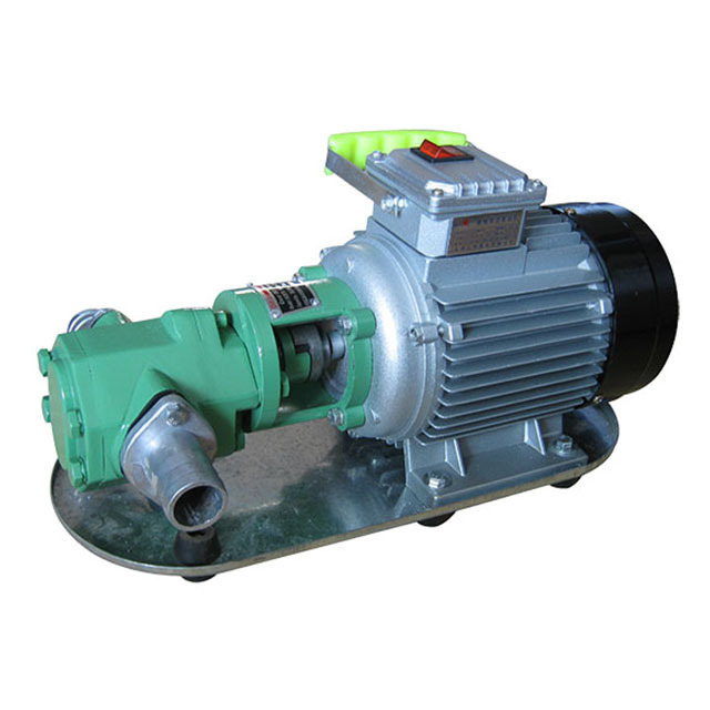 WCB small double gear pump portable oil pump electric diesel transfer pump