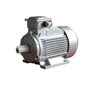 Customized 2hp 3hp 10hp 15hp 20hp 100hp 300hp 5.5KW 22KW 30KW 45KW 55KW 200KW three-phase AC asynchronous motor