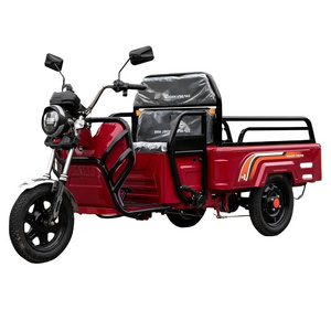 Multifunctional Cabin Passenger Bike E Rickshaw 3 Electric Tricycle Cargo 500 Kg for Wholesales 60V Eec Electric Tricyle