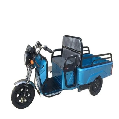 Electric Tricycle Cargo Aluminum Multifunctional Three Wheels Ri Motorcycle 750w 60V 3 Wheel Enclosed Electric Trike