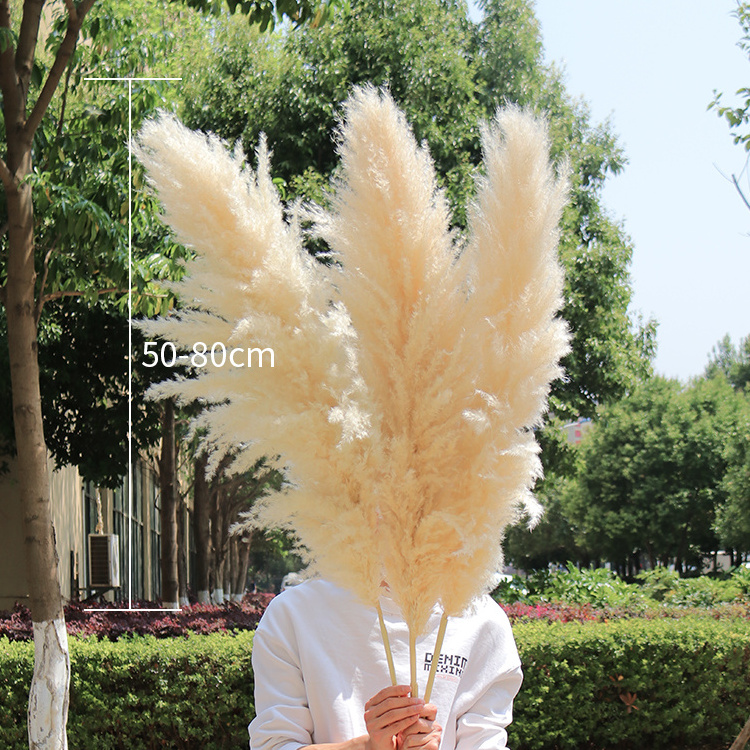 A-33 2023 new arrivals natural artificial flowers large pampas pampa grass dried flower decorative flowers