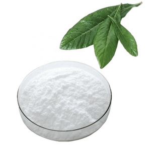 Manufactory Hot Sale High Quality Natural Loquat Leaf Extract