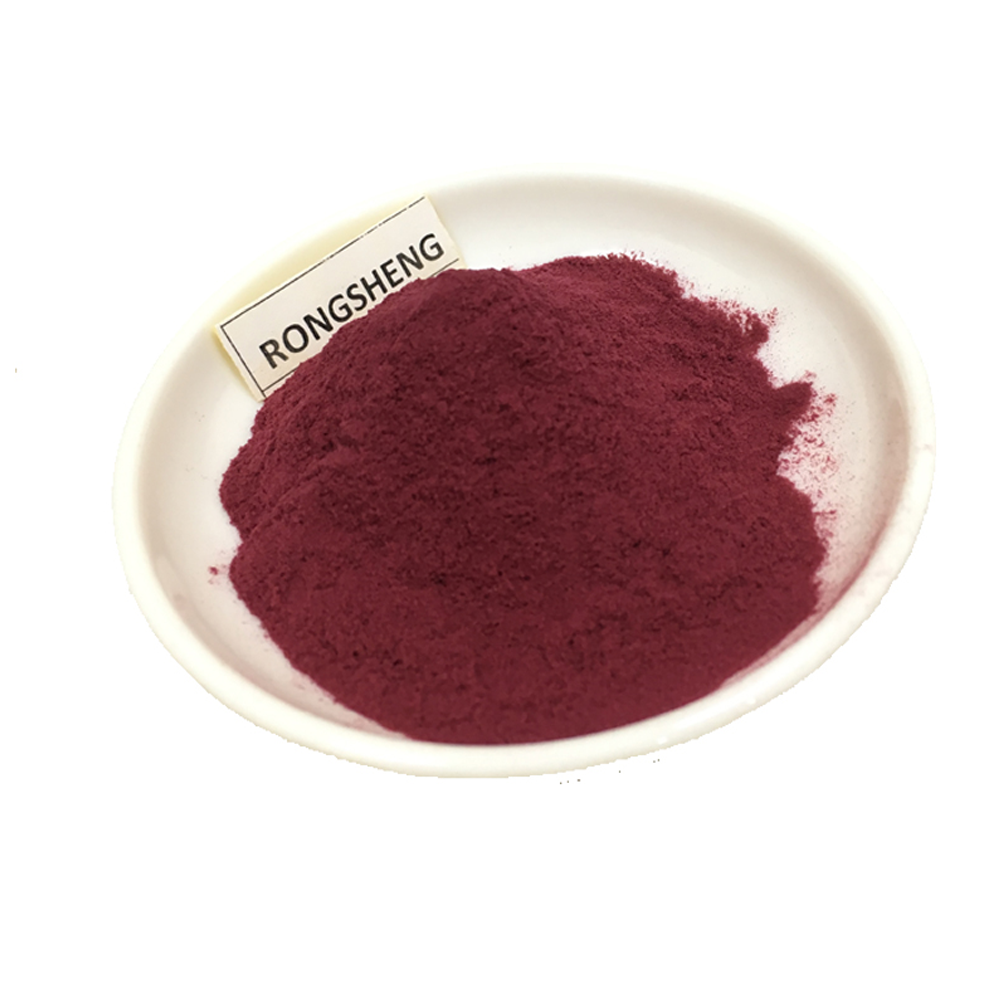 Pure Natural Freeze Dried Berry Fruit Black Aronia Chokeberry Powder