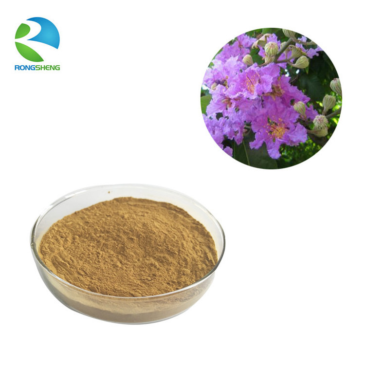 High Quality Organic 18% Banaba Leaf Extract Corosolic Acid