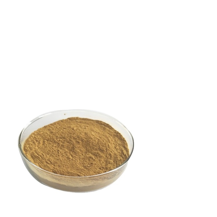 High Quality Organic 18% Banaba Leaf Extract Corosolic Acid