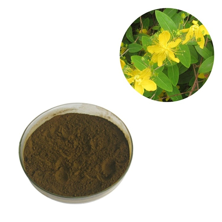 Factory Supply 0.3% Hypericin St John's Wort Extract Hypericum Perforatum Extract