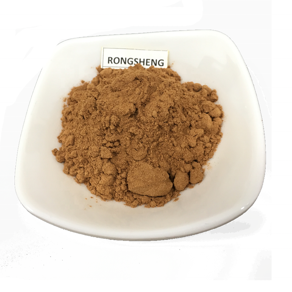 Natural Wild Chrysanthemum Morifolium Parthenium Flower Extract Powder