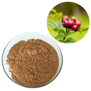 Natural CAS 84696-47-9 Bulk Water Soluble Dried Organic Rose Hip Extract Powder