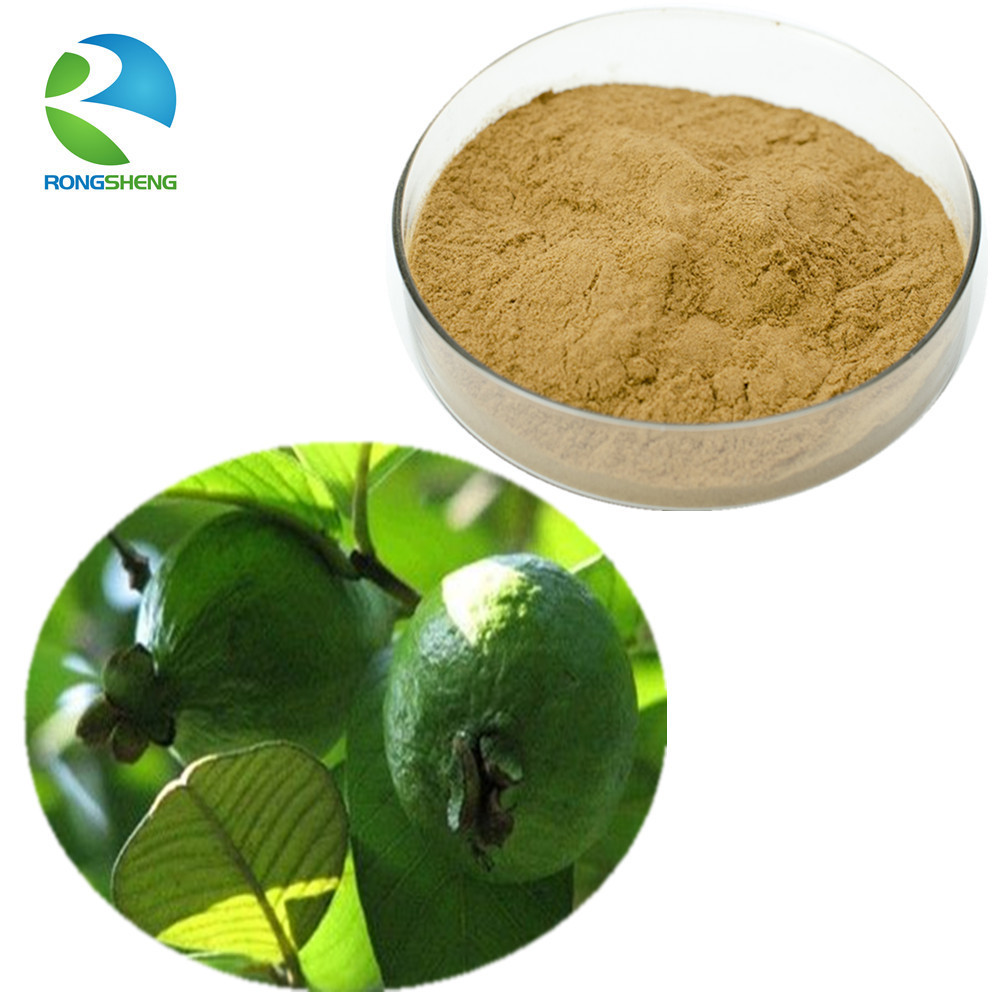 Wholesale Low Price Healthcare Supplement Fresh Plant Leaves Organic Dried Guava Leaf Extract Powder