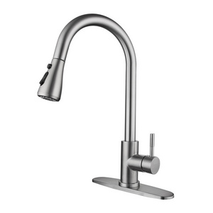 Kitchen Faucet with Pull Down Sprayer  Kitchen Sink Faucet Pull Out Sprayer Hot Selling Stainless Steel