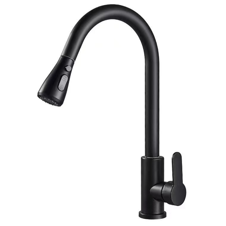 Pull Out Sprayer Kitchen Sink Faucets Stainless Steel 304  Cheap Price Single Handle Kitchen Faucet Mixers Pull Down Faucet