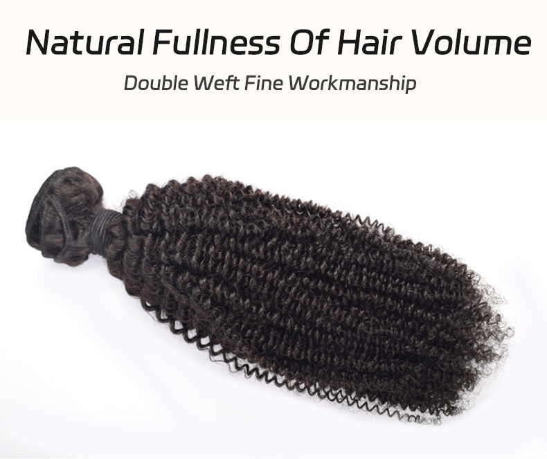 RXHAIR High Quality Cheap Afro Kinky Curly Virgin Hair Vendors Human Hair Bundles With Closure In Wholesale Price