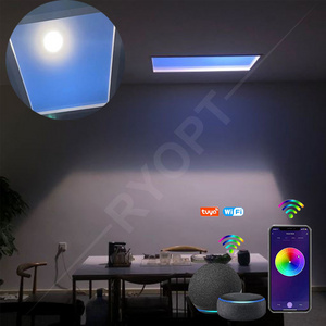 Coelux Artificial Skylight Fake Faux Smart Tuya Sunlight Blue Sky LED Ceiling Panel Light for Indoor House