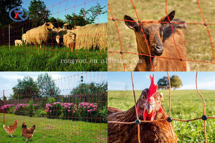 Fencing electric fence energizer netting Plastic Poultry net with electric conductive wire for chicken /sheep