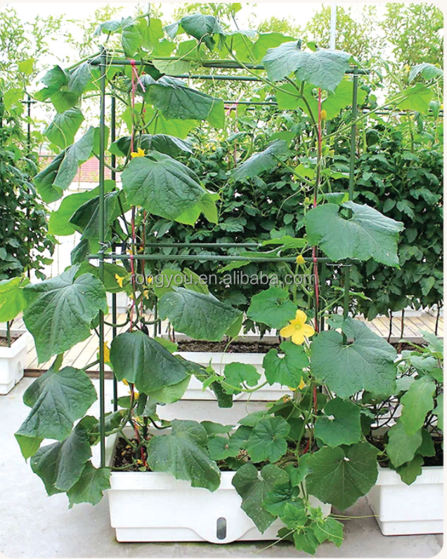 Popular Support Stake Tomato Spiral Support Tomato Cages For Garden Plant Support