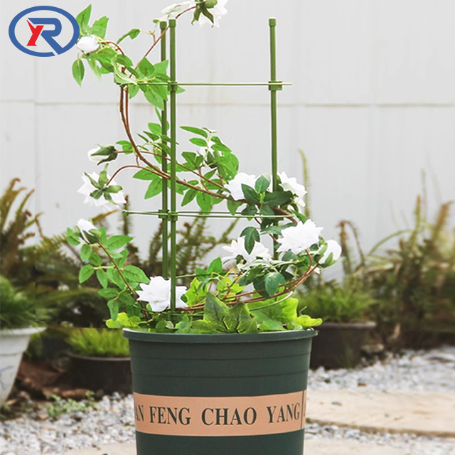 Climbing Plant Support Cage Adjustable Rings garden Trellis Tomato cage for plant Flower support