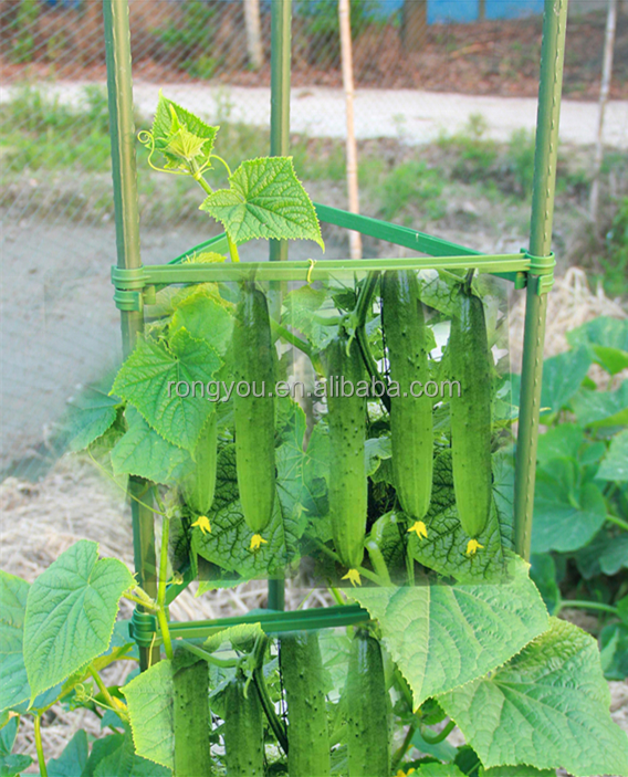 Heavy-duty plastic coated steel pipe tomato support rods plant support piles tomato cages