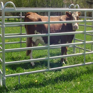 Portable Farm Livestock panel Galvanized Cattle Fence Panel Horse Round Pen Panels for sale