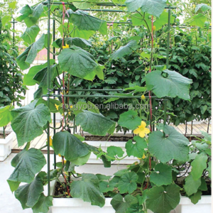 Heavy-duty plastic coated steel pipe tomato support rods plant support piles tomato cages