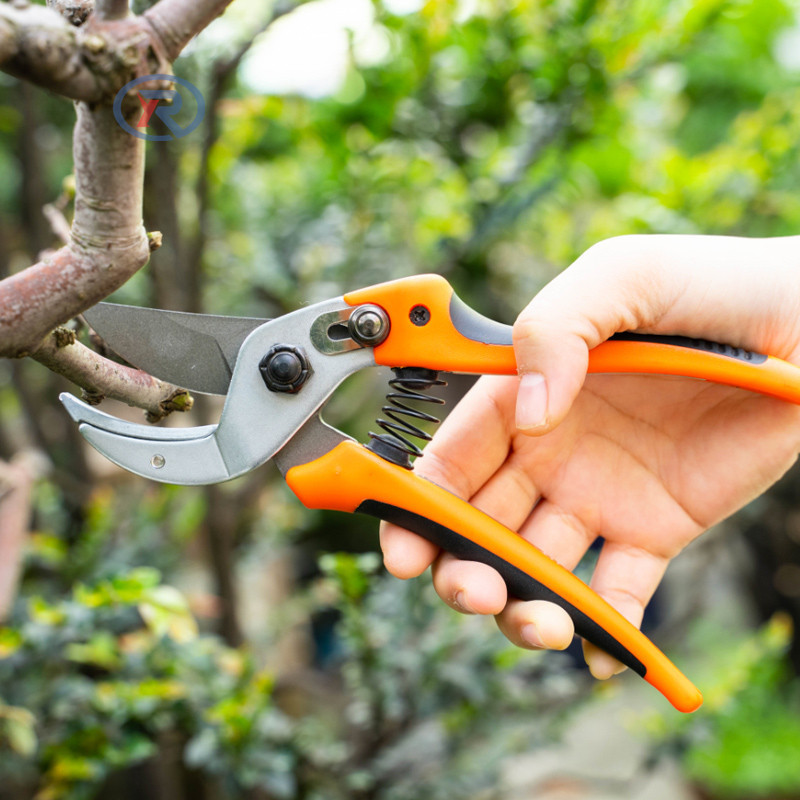 Garden Bypass Steel Pruning Shears/Gartenschere/Tijeras de podar/Cesoie  Garden scissors