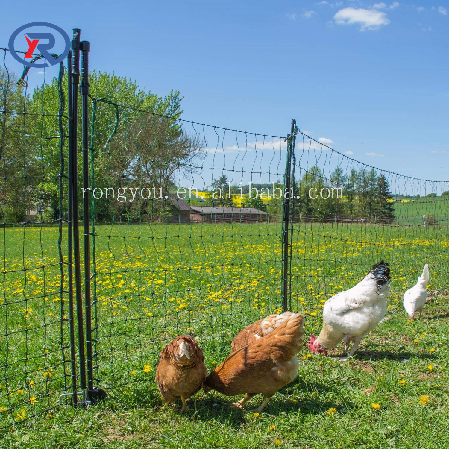 Fencing electric fence energizer netting Plastic Poultry net with electric conductive wire for chicken /sheep