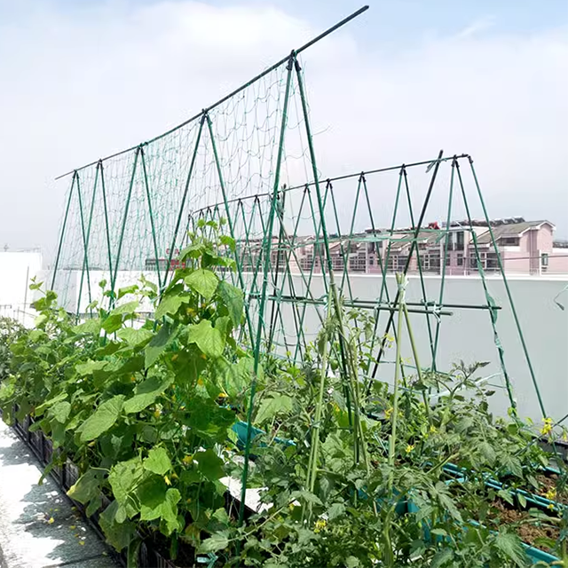 Garden Plant Climbing Stick Plastic Coated Plant Support Pole Tomatoes Cucumber Supporting Sticks