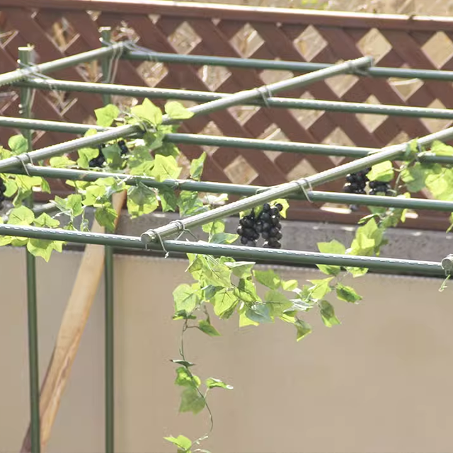 Garden Plant Climbing Stick Plastic Coated Plant Support Pole Tomatoes Cucumber Supporting Sticks