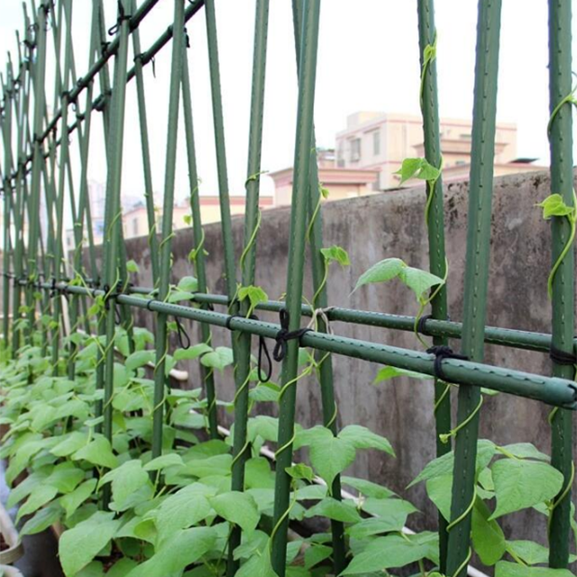 New Design garden plant support Plastic Coated 11mm tomato plant support stakes for Plant Climbing Growth