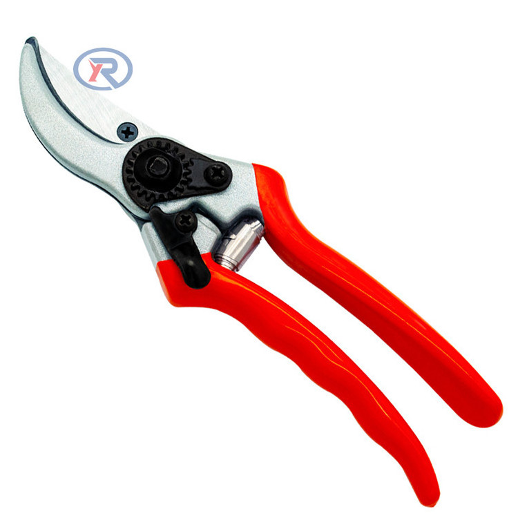 Garden Bypass Steel Pruning Shears/Gartenschere/Tijeras de podar/Cesoie  Garden scissors