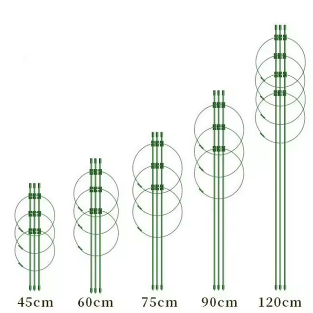 Climbing Plant Support Cage Adjustable Rings garden Trellis Tomato cage for plant Flower support