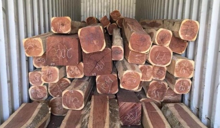 Sandalwood dressed lumber/veneer for sale