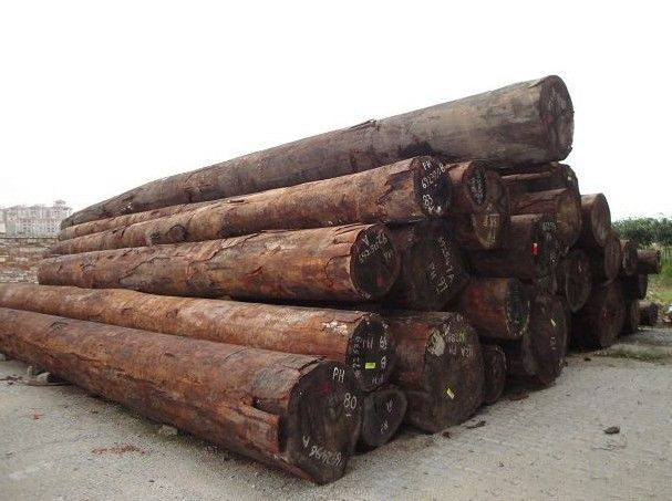 SANDALWOOD Wood Logs/Timbers/Squares of  South America