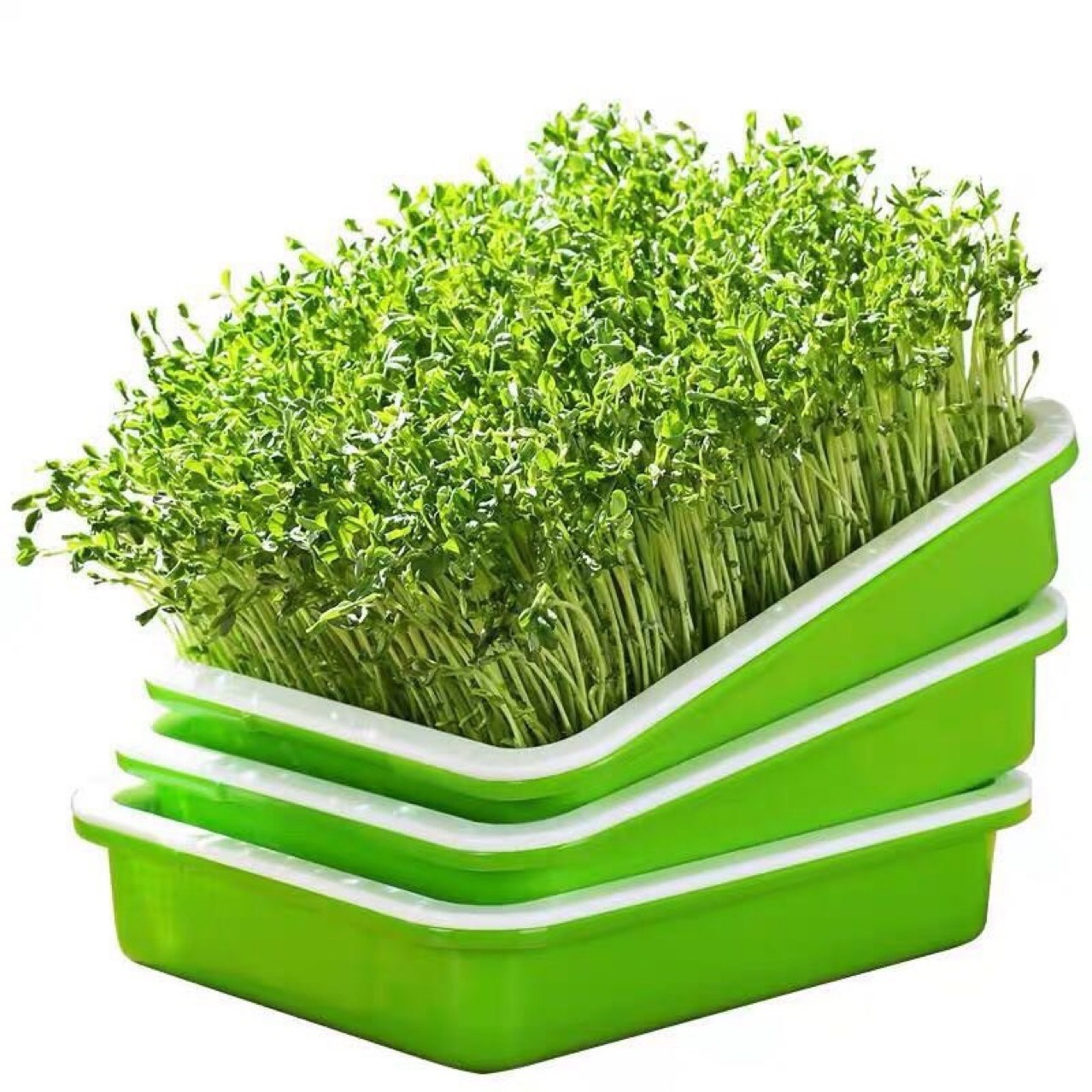 Gardening Germination Plastic Tray Nursery Pots Mini Propagator Plant Vegetable Fruit Kit Seedling Trays