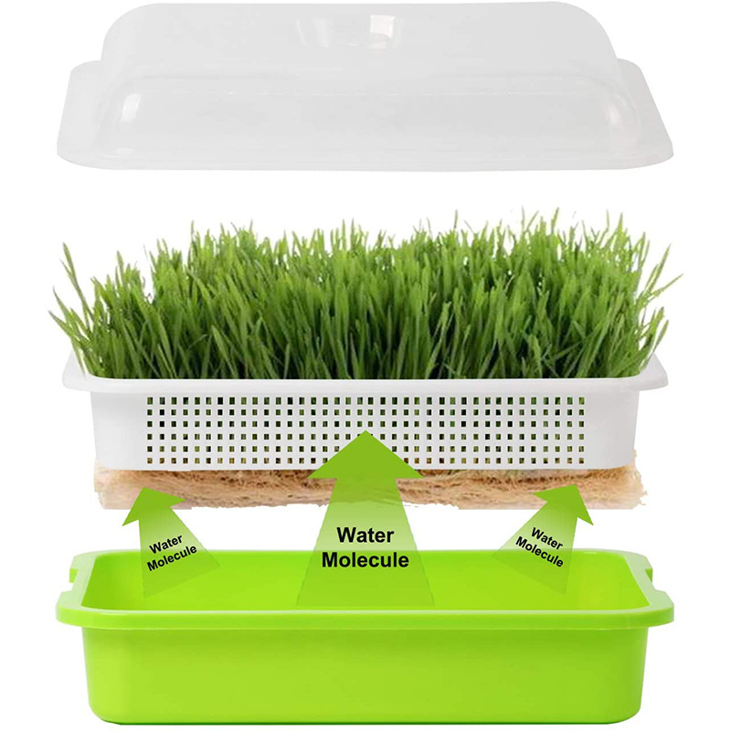 Gardening Germination Plastic Tray Nursery Pots Mini Propagator Plant Vegetable Fruit Kit Seedling Trays