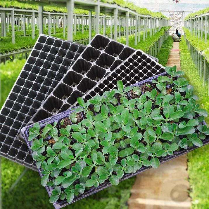 Seed Tray Plant Growing Starter Seedling Starter Nursery Tray 50 200 Cell Ps Plug Planting Seeding Tray For Microgreen Garden